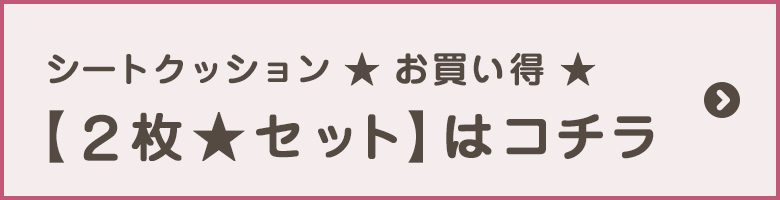 お買い得2枚セットはコチラ