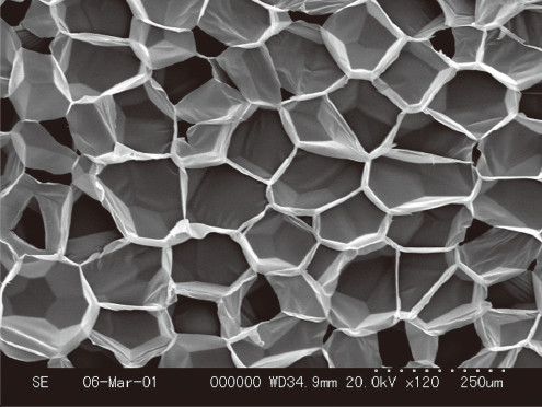 微細な発泡ビーズは、画像のような無数の小部屋で構成されています。